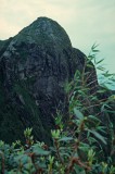 Northern Vietnam